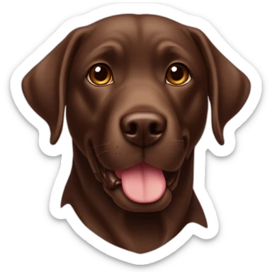 Chocolate labradador with letter name “Haru” sticker