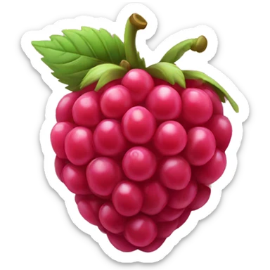 juicy raspberry  sticker