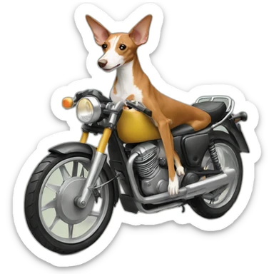 podenco on motorbike sticker