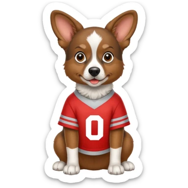 Brown Aussie dog wearing Ohio state jersey sticker