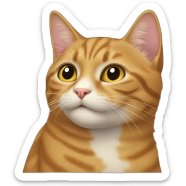 a cat rotated 90 degrees sticker