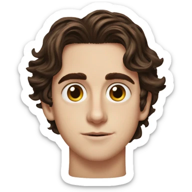 Timothée Chalamet in Lady Bird sticker