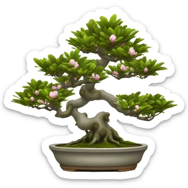 Pot magnolia bonsai sticker