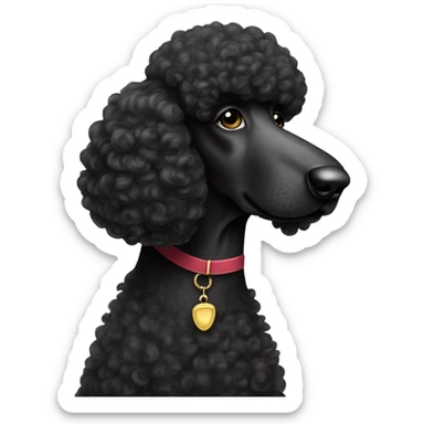 Black standard poodle sticker
