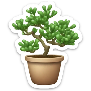 Jade plant sticker