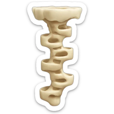 Columna vertebral sticker