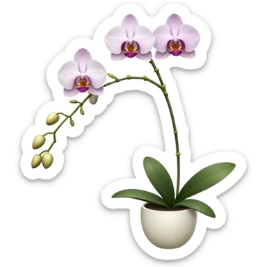 orchid sticker