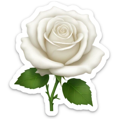 white rose sticker