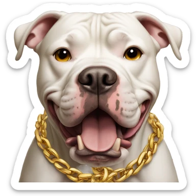 A dog pitbull with a aggressive face and wearing big gold chain on that says G sticker