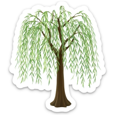 Japanese willow sticker