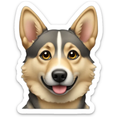 Swedish vallhund sticker