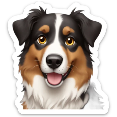australian sheperd sticker