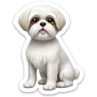 White shih tzu dog with short hair  sticker