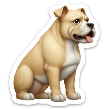 Eine französische Bulldoge in beige mit einen weißen zarten Strich in der Mitte von der Nase hoch bis zur Stirn  sticker