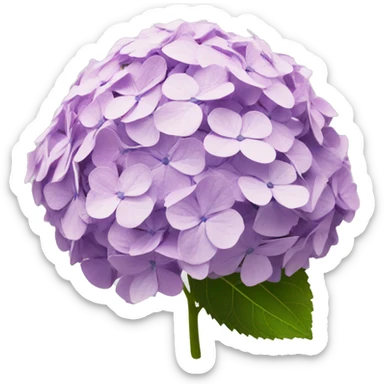 hydrangea sticker