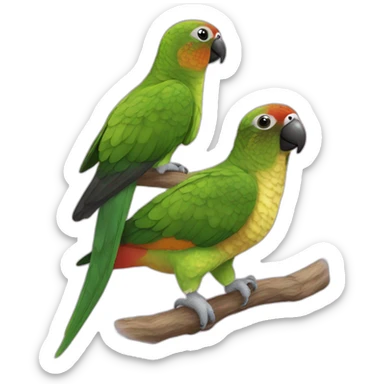 Merun bellied Green cheek conure and a girl sticker