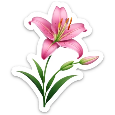 pink Lily flower stem sticker