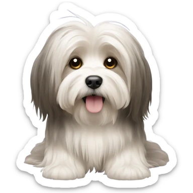 Havanese with long hair down to the floor sticker