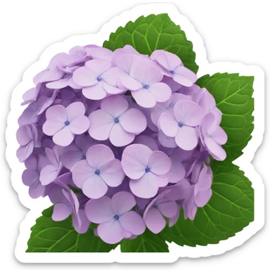 hydrangea sticker