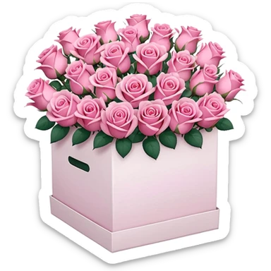 bouquet of pink 30 roses in a white box，no leaves sticker