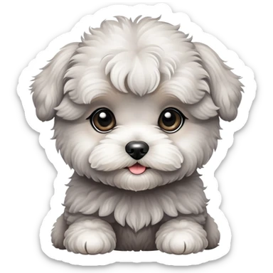Grey  cute maltipoo puppy sticker