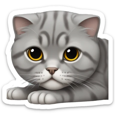 Gray Scottish fold laying sticker