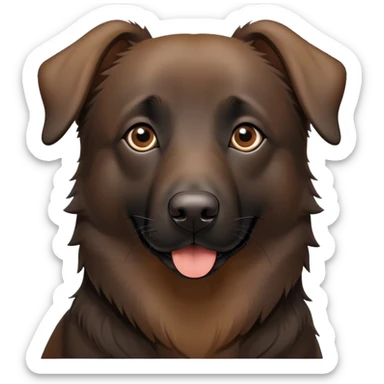 Un chien berger  belge croisé labrador  sticker