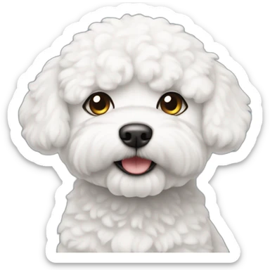 perro bichon blanco sticker