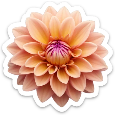 dahlia flower sticker