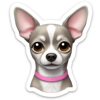 Chihuahua grey with pink nose and white paws sticker