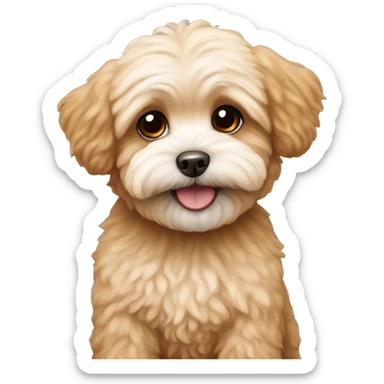 Maltipoo with a small monkey sticker