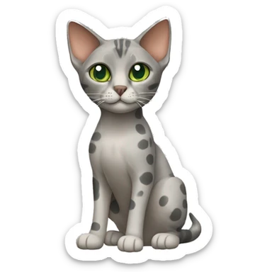 Short-haired oriental cat ,full body , grey coat with spots , green eyes , terracotta nuzzle sticker