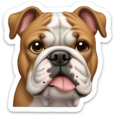 cara de perro bulldog color canela front view sticker