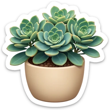 Sedum Pachyphyllum succulent plant with blue-green thick leaves in a beige ceramic pot sticker