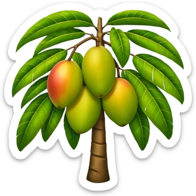 Mango tree, very less mangos, big and heavy leafs, more leafs. sticker