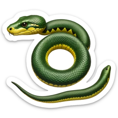 A photo-realistic top-down view of a Green Anaconda tightly coiled in a spiral, with its broad, flat head resting at the center. Its thick, muscular body is olive-green and covered in symmetrical, bold black oval spots that stand out against its smooth scales, creating striking natural camouflage. sticker