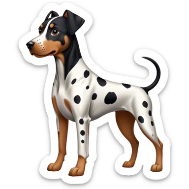 1 Dalmatian + 1 dobermann sticker
