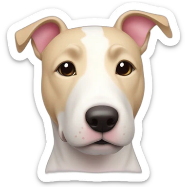 White bull terrier cross with light tan patch and pink nose sticker