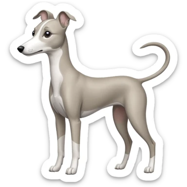 A grey and white whippet sticker