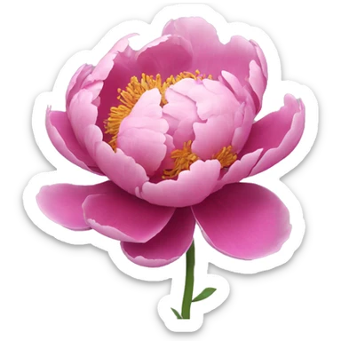 Peony sticker