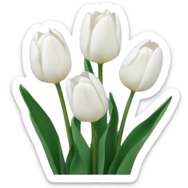 White tulips  sticker