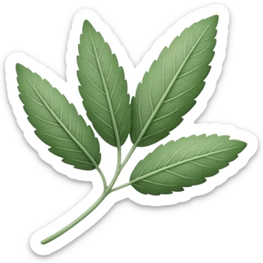 One single leaf of sage sticker
