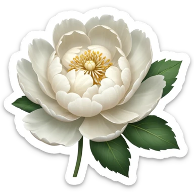 white peony flower side view sticker