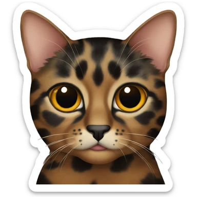 tortoiseshell cat black eyes  sticker