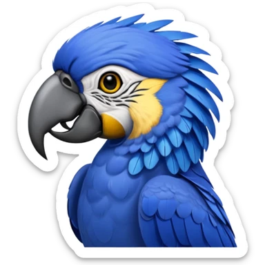 Hyacinth macaw with all blue feathers except for yellow around beak and eyes sticker