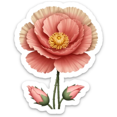 Carnation poppy beige light rose sticker