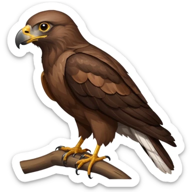 common brown buzzard sticker