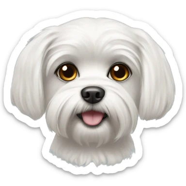 Maltese dog with dark eyes sticker