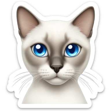 White Siamese cat with blue eyes sticker