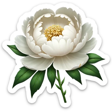 White peony flower sticker